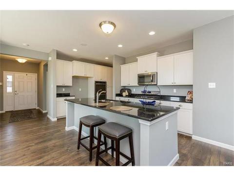 119 Grenache Ct, O'fallon, MO 63368 photo 3