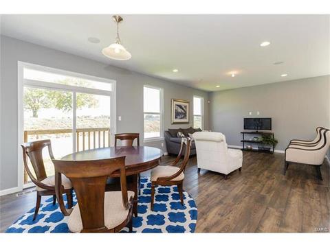 119 Grenache Ct, O'fallon, MO 63368 photo 8
