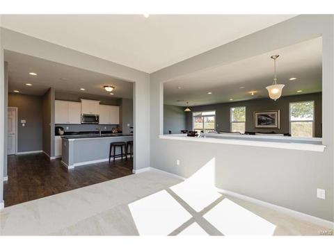 119 Grenache Ct, O'fallon, MO 63368 photo 25