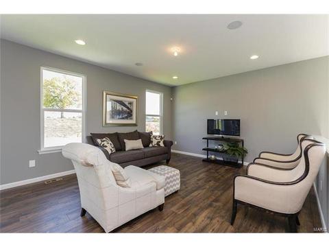 119 Grenache Ct, O'fallon, MO 63368 photo 2