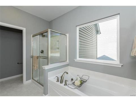 119 Grenache Ct, O'fallon, MO 63368 photo 15