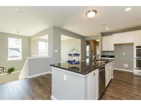 119 Grenache Ct, O'fallon, MO 63368 photo 23