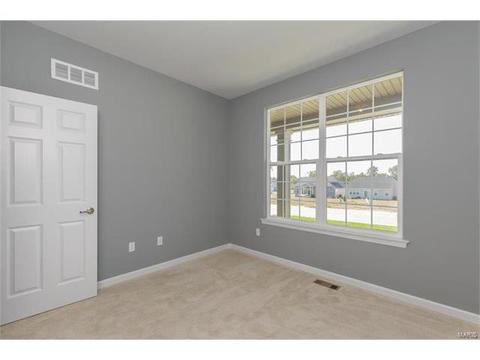 119 Grenache Ct, O'fallon, MO 63368 photo 29
