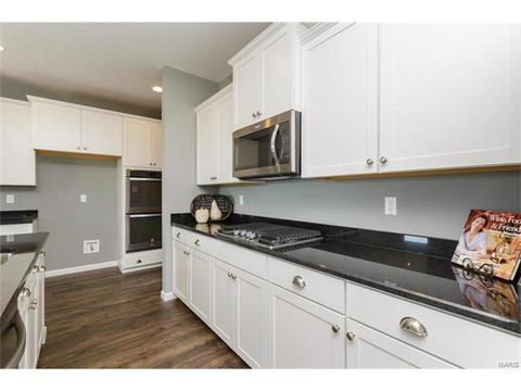 119 Grenache Ct, O'fallon, MO 63368 photo 4