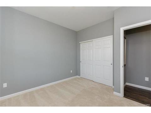 119 Grenache Ct, O'fallon, MO 63368 photo 31