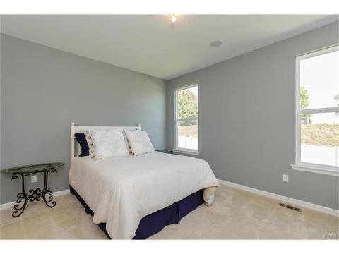 119 Grenache Ct, O'fallon, MO 63368 photo 13