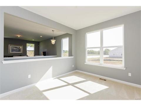 119 Grenache Ct, O'fallon, MO 63368 photo 12