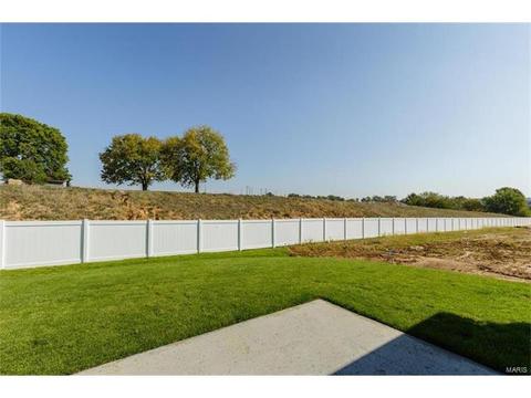 119 Grenache Ct, O'fallon, MO 63368 photo 6