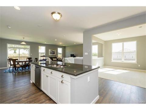 119 Grenache Ct, O'fallon, MO 63368 photo 11