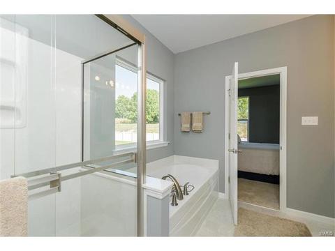 119 Grenache Ct, O'fallon, MO 63368 photo 16