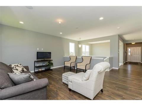 119 Grenache Ct, O'fallon, MO 63368 photo 7