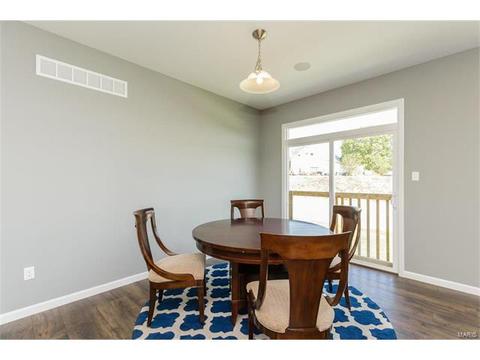 119 Grenache Ct, O'fallon, MO 63368 photo 20