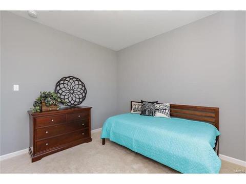 119 Grenache Ct, O'fallon, MO 63368 photo 26