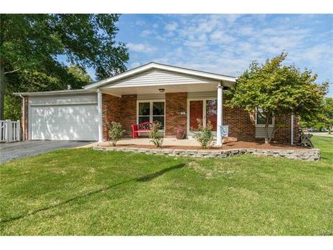 303 Sunrise Blvd, Ballwin, MO 63021 photo 28