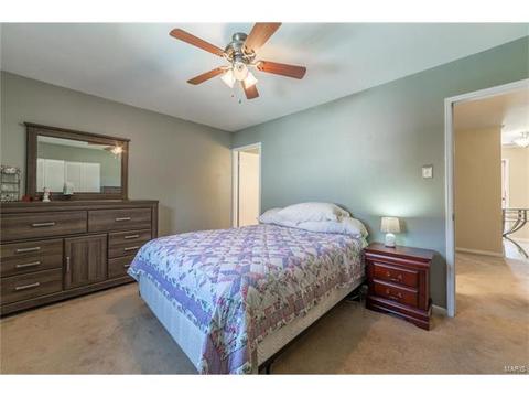 303 Sunrise Blvd, Ballwin, MO 63021 photo 8