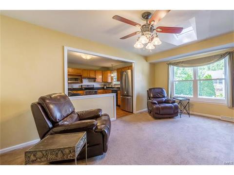 303 Sunrise Blvd, Ballwin, MO 63021 photo 5