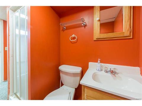 303 Sunrise Blvd, Ballwin, MO 63021 photo 18