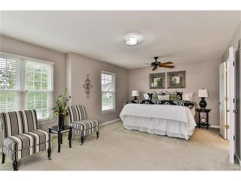 462 Brookhaven, O'fallon, MO 63368 photo 15