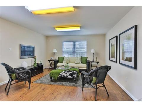 462 Brookhaven, O'fallon, MO 63368 photo 19