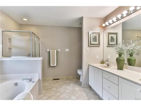 462 Brookhaven, O'fallon, MO 63368 photo 17