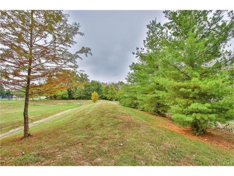 462 Brookhaven, O'fallon, MO 63368 photo 32