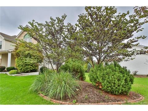 462 Brookhaven, O'fallon, MO 63368 photo 28