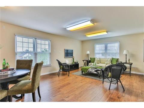 462 Brookhaven, O'fallon, MO 63368 photo 18