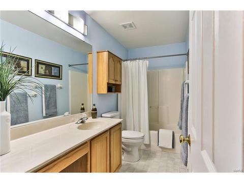 462 Brookhaven, O'fallon, MO 63368 photo 24