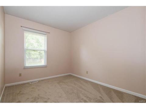 863 Spring Hill Farm Dr, Ballwin, MO 63021 photo 16