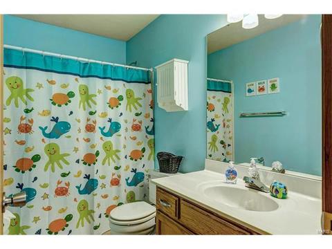 149 Rockaway Dr, O'fallon, MO 63368 photo 23