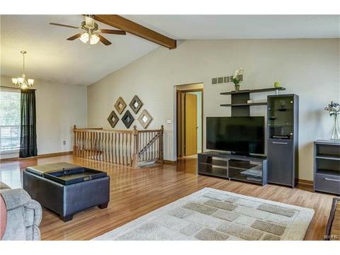 149 Rockaway Dr, O'fallon, MO 63368 photo 9