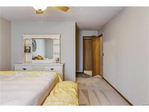 149 Rockaway Dr, O'fallon, MO 63368 photo 17