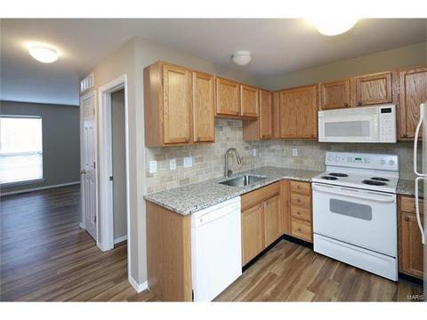 424 Parkview Place Dr, Ellisville, MO 63021 photo 4