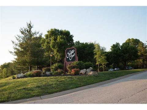 1603 Hemingway Ln, Weldon Spring, MO 63304 photo 39