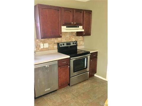 802 Rauscher Dr, Ballwin, MO 63011 photo 15
