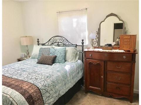 802 Rauscher Dr, Ballwin, MO 63011 photo 18