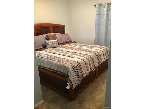 802 Rauscher Dr, Ballwin, MO 63011 photo 21