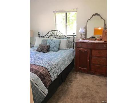 802 Rauscher Dr, Ballwin, MO 63011 photo 19