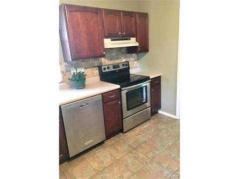 802 Rauscher Dr, Ballwin, MO 63011 photo 13