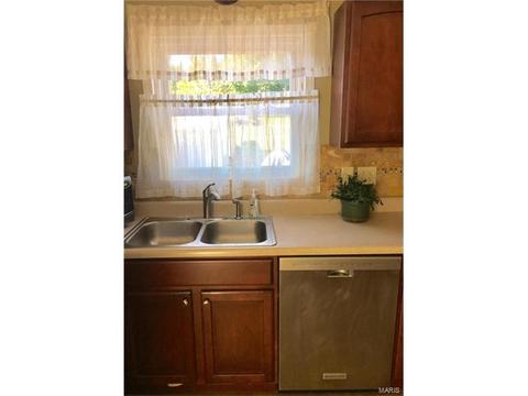 802 Rauscher Dr, Ballwin, MO 63011 photo 16