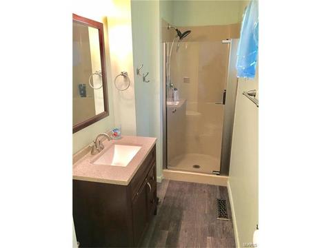 802 Rauscher Dr, Ballwin, MO 63011 photo 27