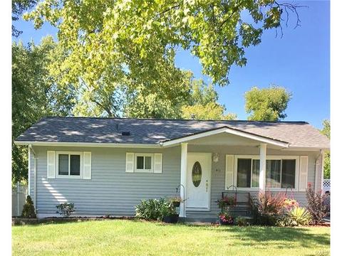 802 Rauscher Dr, Ballwin, MO 63011 photo 32