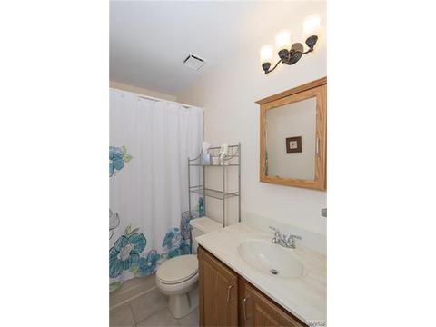 711 Trago Crk, Ballwin, MO 63021 photo 21