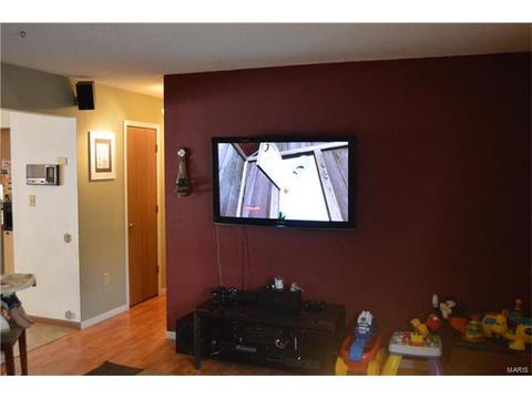 3918 Wright Ave, Saint Ann, MO 63074 photo 12