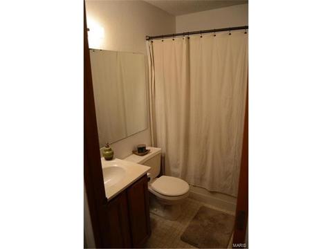 3918 Wright Ave, Saint Ann, MO 63074 photo 6
