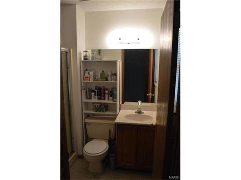 3918 Wright Ave, Saint Ann, MO 63074 photo 11