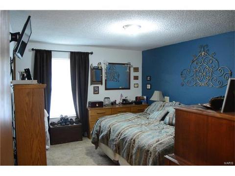3918 Wright Ave, Saint Ann, MO 63074 photo 9