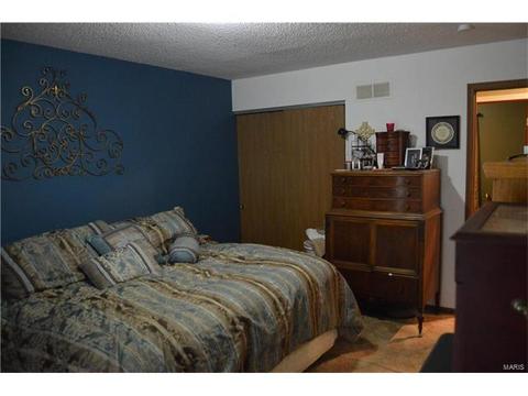 3918 Wright Ave, Saint Ann, MO 63074 photo 10