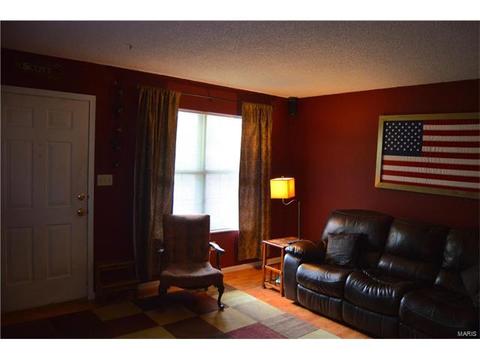 3918 Wright Ave, Saint Ann, MO 63074 photo 13