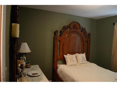 3918 Wright Ave, Saint Ann, MO 63074 photo 8